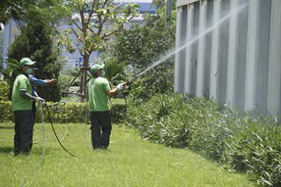 Phun thuốc diệt muỗi và côn trùng gây hại cho cơ quan, doanh nghiệp